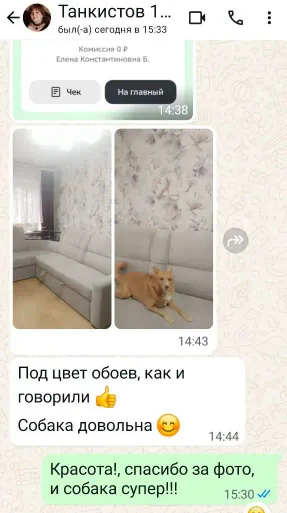Скриншот отзыва: ул. Танкистов, 1 — Угловой диван